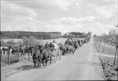 Germany Under Allied Occupation German troops using horse-drawn transport make their way towards the British forces in H-stock-photo