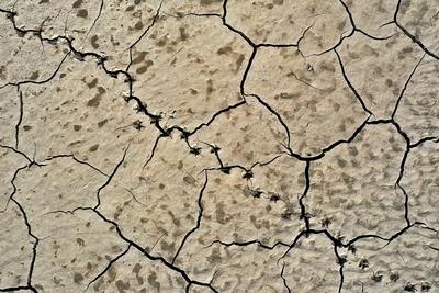 12.4.2025 Niedrigwasser-stock-foto