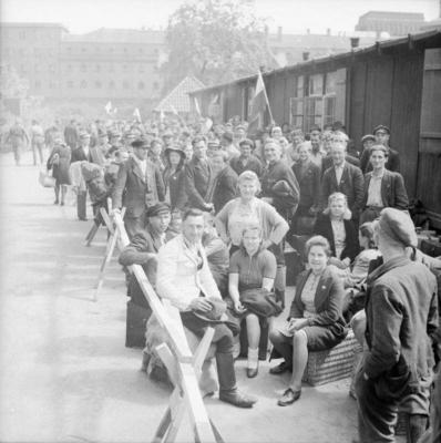Displaced Persons and Refugees in Germany The Displaced Persons camp within the grounds of Hamburg Zoo was build by the-stock-foto