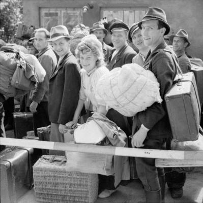 Displaced Persons and Refugees in Germany The Displaced Persons camp within the grounds of Hamburg Zoo was build by the-stock-foto