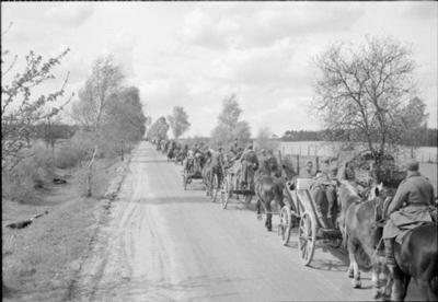 Germany Under Allied Occupation German troops using horse-drawn transport make their way towards the British forces in H-stock-photo