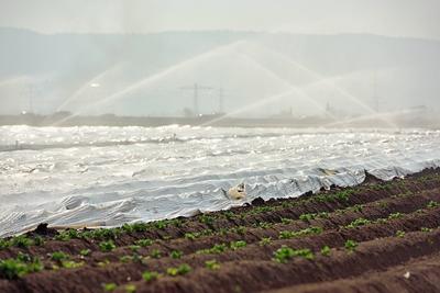 11.4.2025 Landwirtschaft im Klimawandel-stock-foto