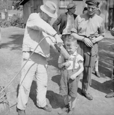 Displaced Persons and Refugees in Germany The Displaced Persons camp within the grounds of Hamburg Zoo was build by the-stock-foto