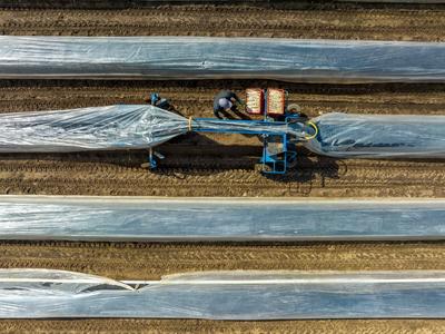 Themenfoto: Spargelsaison beginnt, Nordrhein-Westfalen, Deutschland, Europa-stock-foto
