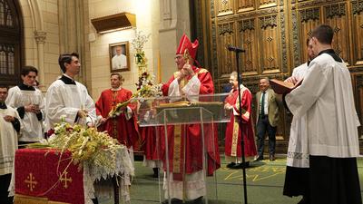 Palm sunday observed at st. Patrick's cathedral with solemn procession and blessings.-stock-foto