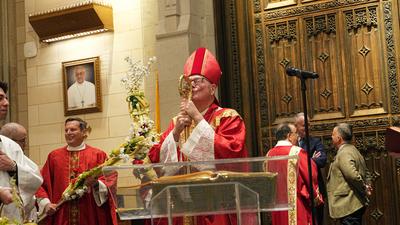 Palm sunday observed at st. Patrick's cathedral with solemn procession and blessings.-stock-foto