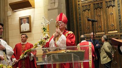 Palm sunday observed at st. Patrick's cathedral with solemn procession and blessings.-stock-foto