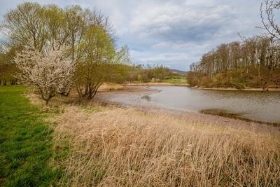 Talsperre Iberg: Wenig Wasser Mitte April, 11.04.2025-stock-photo