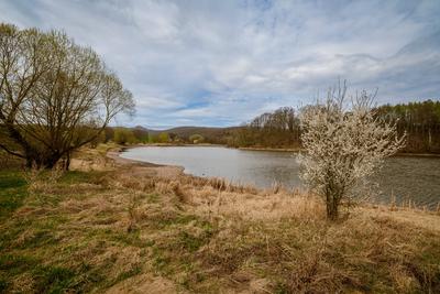 Talsperre Iberg: Wenig Wasser Mitte April, 11.04.2025-stock-photo