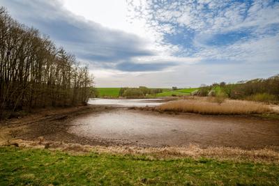 Talsperre Iberg: Wenig Wasser Mitte April, 11.04.2025-stock-photo