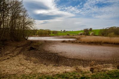 Talsperre Iberg: Wenig Wasser Mitte April, 11.04.2025-stock-photo