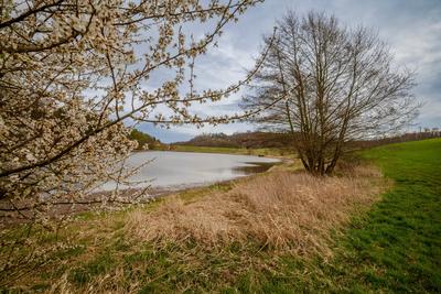 Talsperre Iberg: Wenig Wasser Mitte April, 11.04.2025-stock-photo