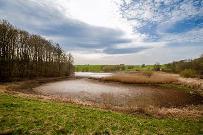 Talsperre Iberg: Wenig Wasser Mitte April, 11.04.2025-stock-photo