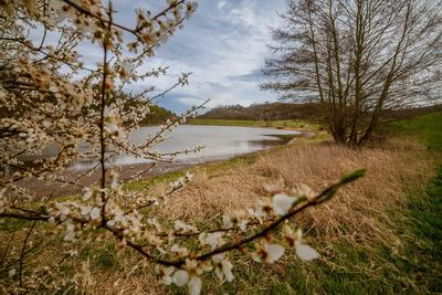 Talsperre Iberg: Wenig Wasser Mitte April, 11.04.2025-stock-photo