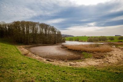 Talsperre Iberg: Wenig Wasser Mitte April, 11.04.2025-stock-photo