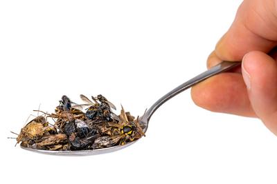 Viele tote Insekten liegen auf einem Esslöffel der in der Hand gehalten wird, freigestellt auf weiß Viele tote Insekten-stock-foto