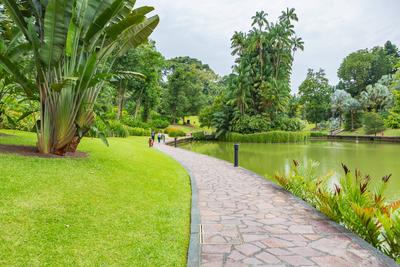 SINGAPORE, SINGAPORE - CIRCA SEPTEMBER, 2017: The Singapore Botanic Gardens, Singapore.-stock-foto