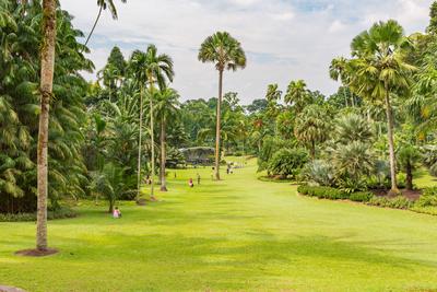 SINGAPORE, SINGAPORE - CIRCA SEPTEMBER, 2017: The Singapore Botanic Gardens, Singapore.-stock-foto
