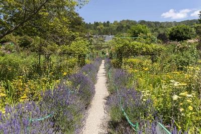 Giverny, France July 19, 2021 - Gardens under the sun at the Claude Monet Foundation dedicated to the famous French pain-stock-photo