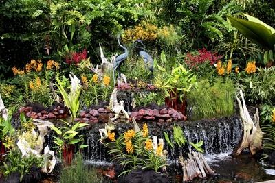 Orchideengarten von Singapur Singapur national orchid garden Singapure Singapore BLWS479072 Copyri-stock-foto