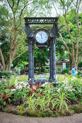 SINGAPORE, SINGAPORE - CIRCA SEPTEMBER, 2017: The Singapore Botanic Gardens, Singapore.-stock-foto