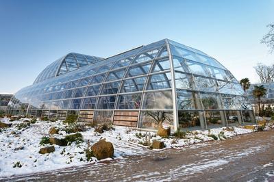K?ln, Deutschland 10. Januar 2025: Der Neubau der Schaugew?chsh?user im Botanischen Garten nach einem Schneefall in K?ln-stock-foto