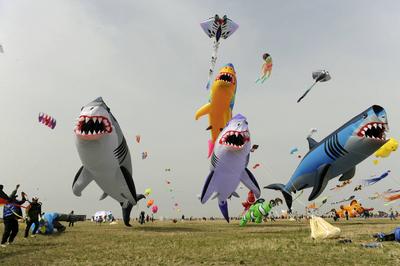 WEIFANG, CHINA - APRIL 18: Shark-shaped kites fly in the sky during the 21st World Kite Championship at the Binhai Inter-stock-foto