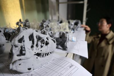 Paleontological Restoration Production in Binzhou-stock-foto