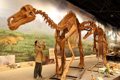Paleontological Restoration Production in Binzhou-stock-foto