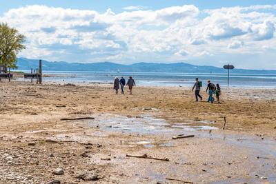 Durch Trockenheit freigelegte Uferzone am Bodensee, Spazierg?nger, Wasserburg, 21. April 2025-stock-foto