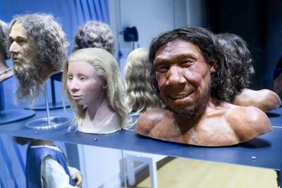 Queen M?xima at the opening of the exhibition on 25 years of archaeology, Leiden, The Netherlands-stock-photo