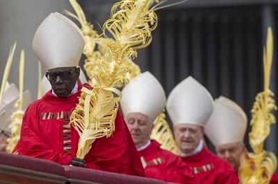 ITALY -  PALM SUNDAY ,ASS IN THE VATICAN  - 2025/4/13-stock-foto