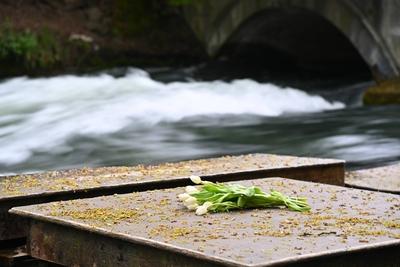 Eisbach nach toedlichem Surf Unfall weiterhin gesperrt-stock-foto