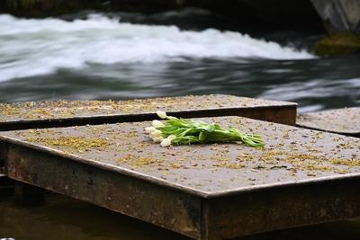 Eisbach nach toedlichem Surf Unfall weiterhin gesperrt-stock-foto
