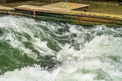 Gesperrte M?nchner Eisbachwelle, Gedenken an der Unfallstelle, verungl?ckte Surferin gestorben, M?nchen, 24. April 2025-stock-foto