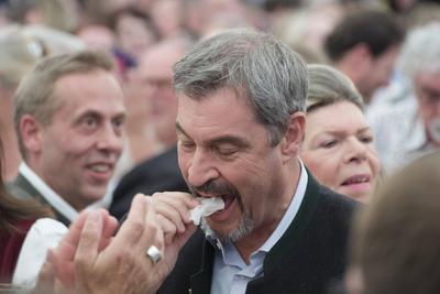 Dr. Markus S?der isst Radi (Rettich) soederisst - Gastrofr?hling im Hippodrom Festzelt auf dem Fr?hlingsfest in M?nchen-stock-foto