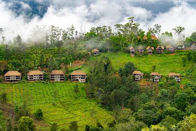 Sri Lanka, Asia - December 18, 2023: A picturesque view of traditional huts surrounded by tea plantations and tropical v-stock-foto