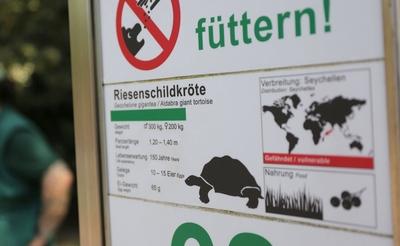 Tierpark Hagenbeck Riesenschildkroeten Gewichtscheck-stock-photo