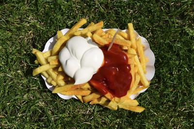 Pommes Frites sind frittierte St?bchen aus Kartoffeln. Urspr?nglich in Belgien verbreitet, gibt es sie heute weltweit al-stock-photo