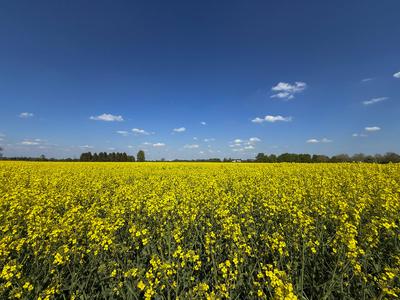01.05.2025,  Bad W?rishofen-stock-foto