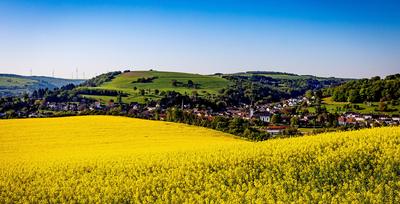 01.05.2025 - Postkartenidylle: Blick auf Staudernheim (Rheinland-Pfalz). Im Vordergrund ist ein Rapsfeld in voller Bl?te-stock-foto