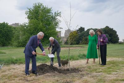 King Charles & Queen Camilla with King & Queen of Sweden-stock-foto
