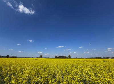 01.05.2025,  Bad W?rishofen-stock-foto