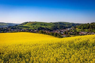 01.05.2025 - Postkartenidylle: Blick auf Staudernheim (Rheinland-Pfalz). Im Vordergrund ist ein Rapsfeld in voller Bl?te-stock-foto
