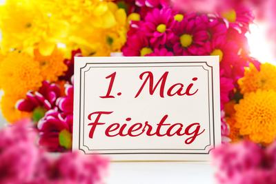 30 April 2024: 1 May holiday, lettering on a greeting card in front of colorful flowers. PHOTOMONTAGE *** 1 Mai Feiertag-stock-foto