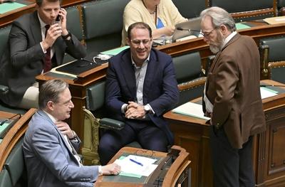 Plenary Session Federal Parliament 30/04/2025-stock-foto