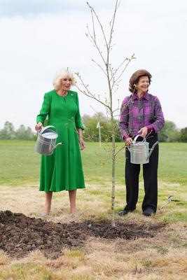 King Charles & Queen Camilla with King & Queen of Sweden-stock-foto
