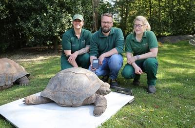 Tierpark Hagenbeck Riesenschildkroeten Gewichtscheck-stock-photo