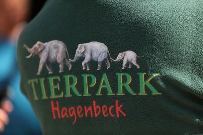 Tierpark Hagenbeck Riesenschildkroeten Gewichtscheck-stock-photo
