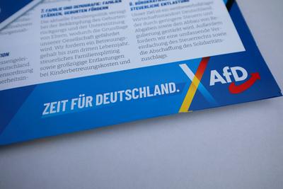Flyer AfD-Wahlprogramm 2025 - AfD-Logo - AfD-Abschlusskundgebung zur vorgezogenen Bundestagswahl am 23. Februar 2025 auf-stock-foto